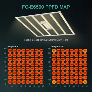 mars hydro fc-e6500 led grow light ppfd map