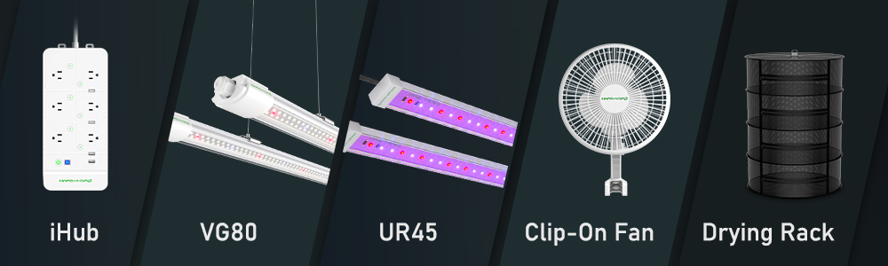 VG80 LED T5 Grow Lights For Seedling, Veg, and Cloning