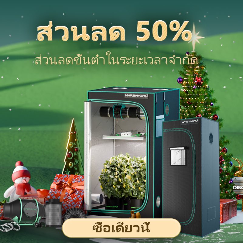 泰国50%-off活动手机端(1)